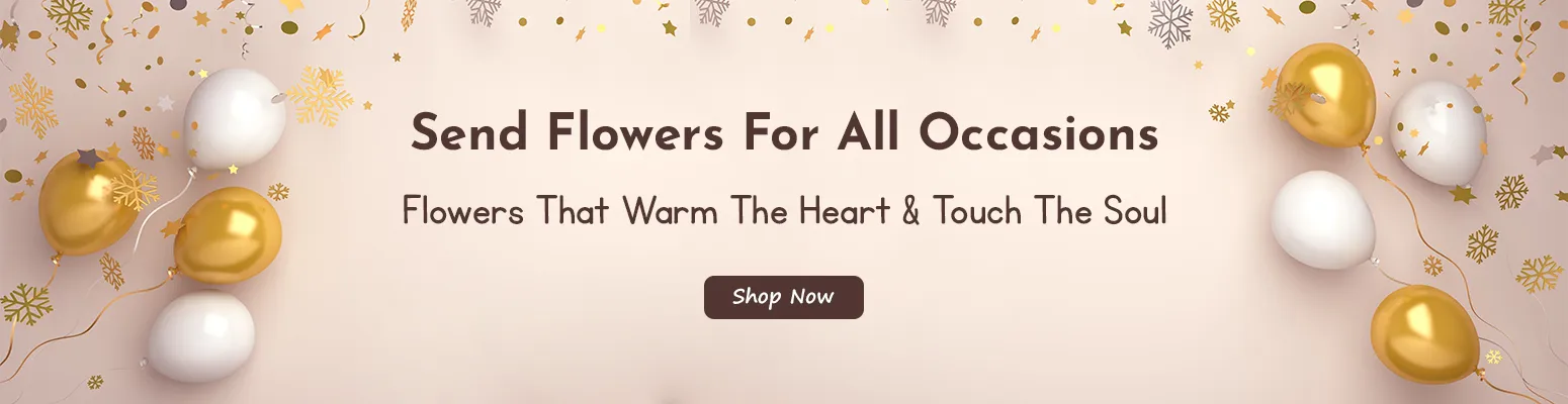 Send Flowers For All Occasions