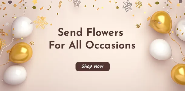 Send Flowers For All Occasions