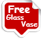 Free Glass Vase