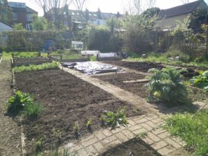 fruit vegetable gardening