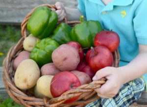 fruit vegetable to plant